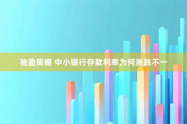 驰盈策略 中小银行存款利率为何涨跌不一