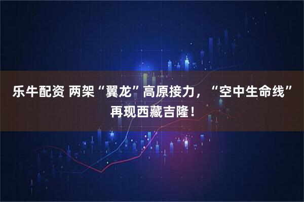 乐牛配资 两架“翼龙”高原接力，“空中生命线”再现西藏吉隆！